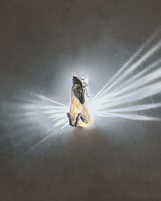 Afbeeldingen van Pegasus Nachtlamp