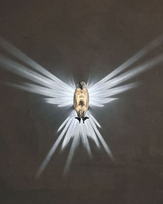 Afbeeldingen van Adelaar Nachtlamp