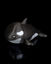 Afbeeldingen van Tiny Orca